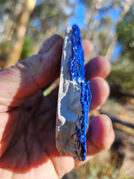 Azurite Sun  AZ198