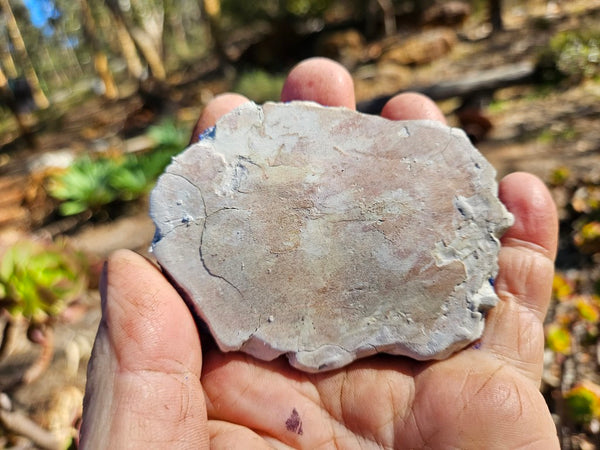 Azurite Sun  AZ198