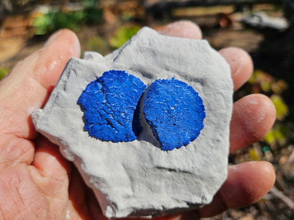 Azurite Sun  AZ200