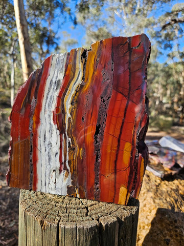 Sunset Jasper polished display specimen SU203