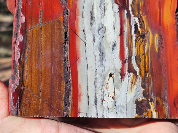 Sunset Jasper polished display specimen SU203