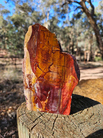 Sunset Jasper polished display specimen SU204