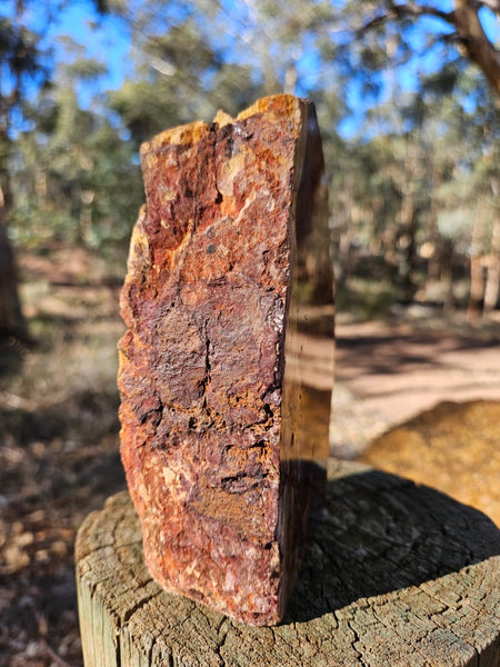 Sunset Jasper polished display specimen SU204