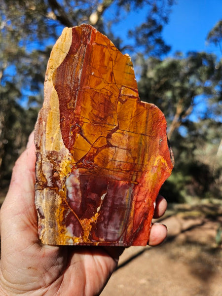 Sunset Jasper polished display specimen SU204