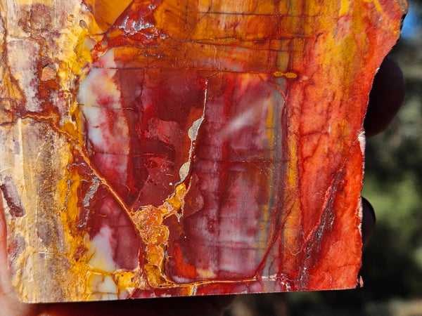 Sunset Jasper polished display specimen SU204