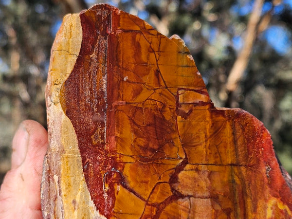 Sunset Jasper polished display specimen SU204