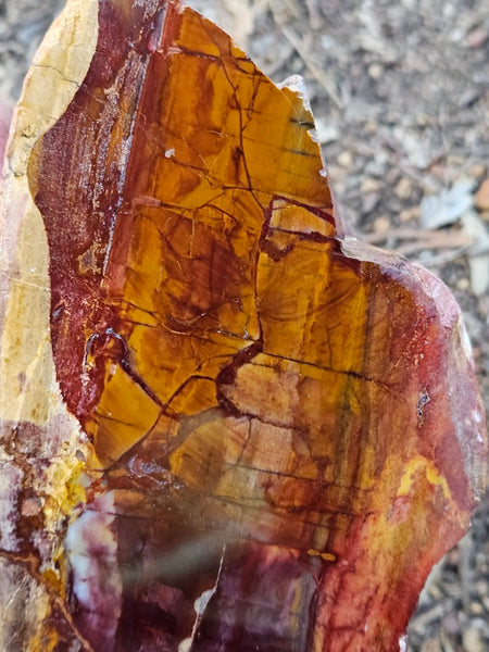 Sunset Jasper polished display specimen SU204