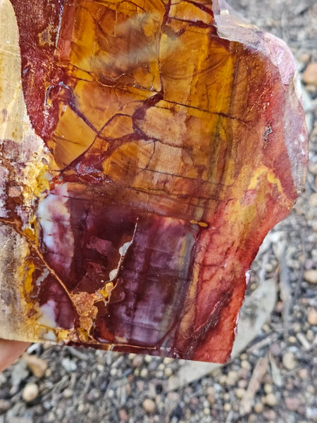 Sunset Jasper polished display specimen SU204