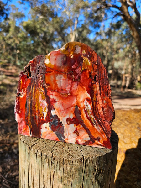 Sunset Jasper.