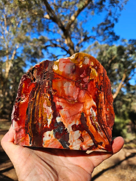 Sunset Jasper polished display specimen SU205