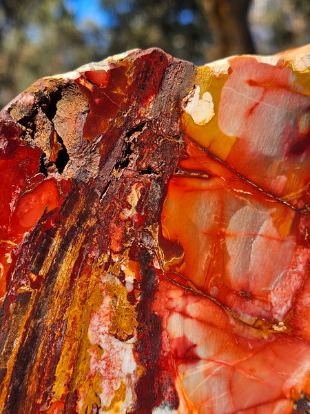 Sunset Jasper polished display specimen SU205