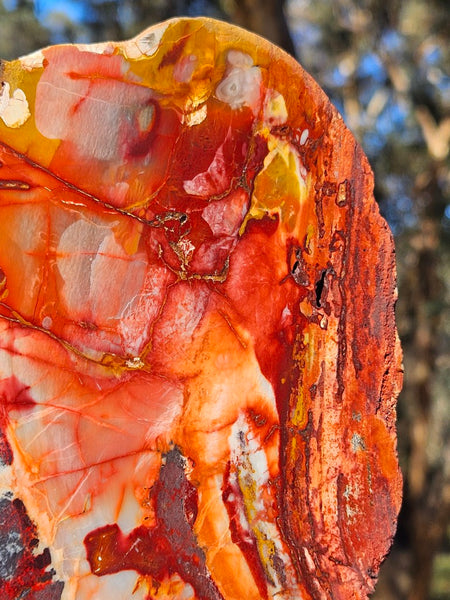 Sunset Jasper polished display specimen SU205