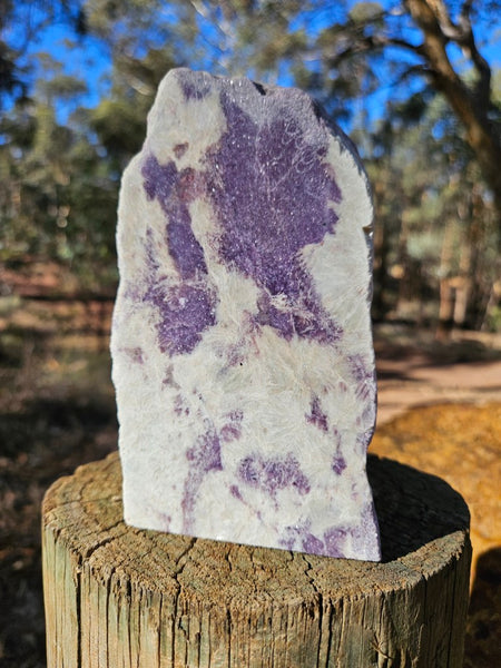 Pegmatite. PG135