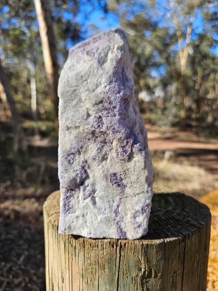 Pegmatite. PG135