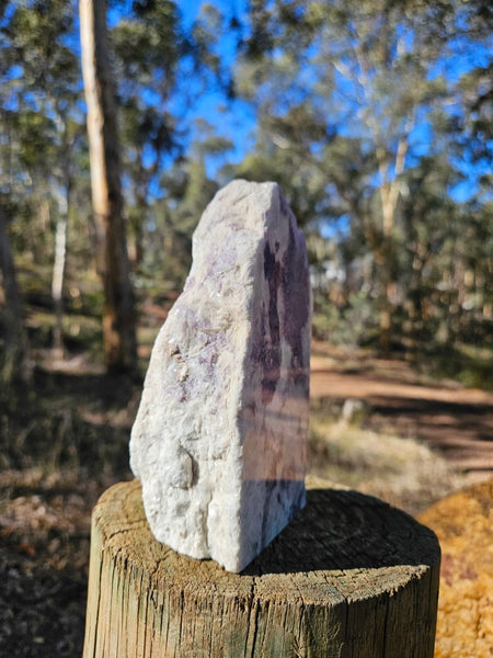 Pegmatite. PG135