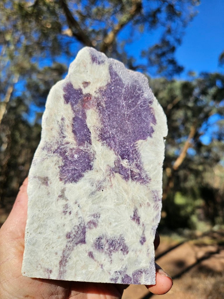 Pegmatite. PG135