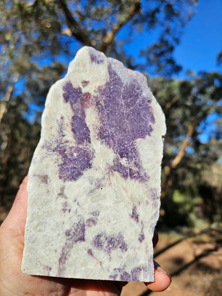 Pegmatite. PG135