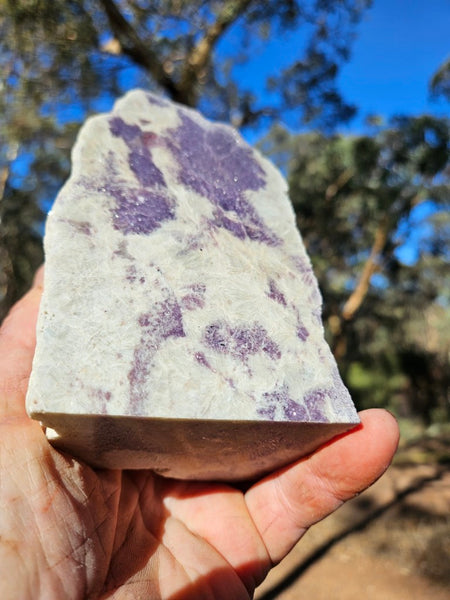 Pegmatite. PG135
