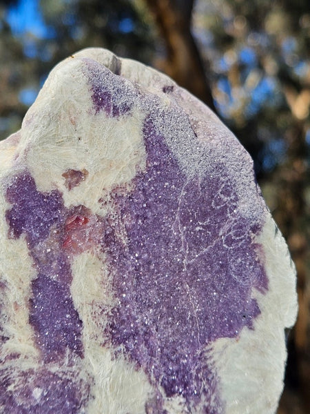 Pegmatite. PG135