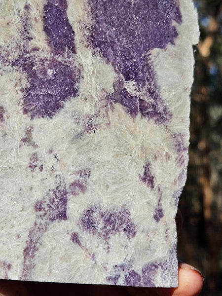 Pegmatite. PG135