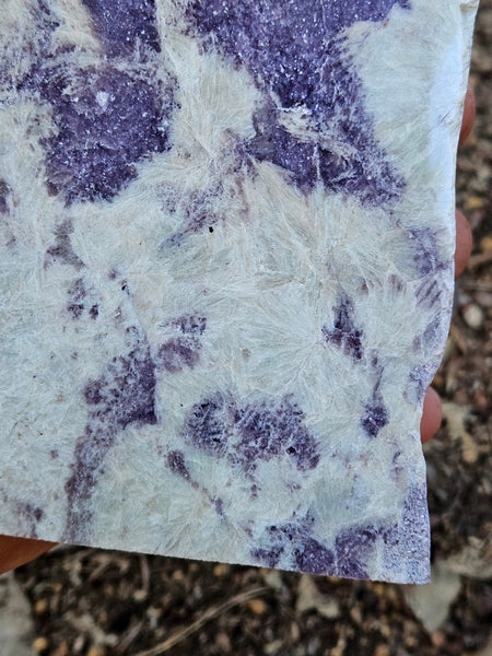 Pegmatite. PG135