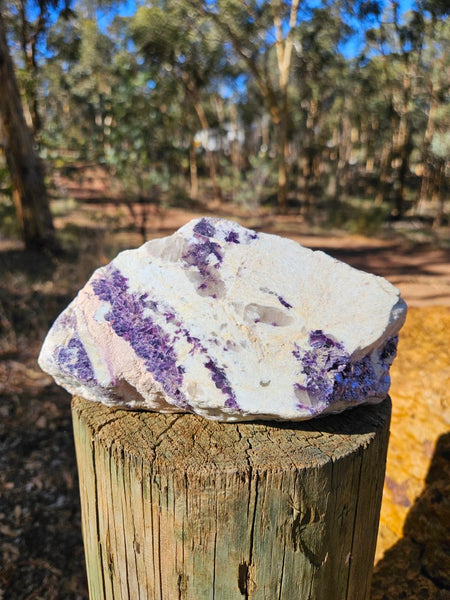 Pegmatite. PG134