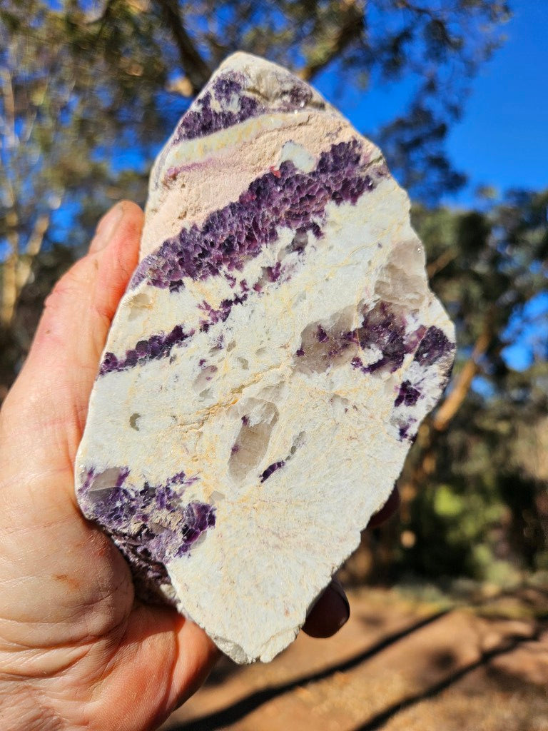 Pegmatite. PG134