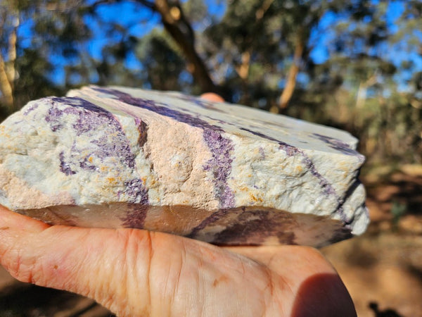 Pegmatite. PG134