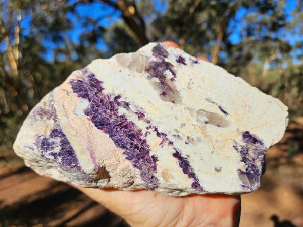Pegmatite. PG134