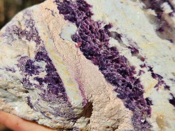 Pegmatite. PG134