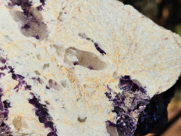 Pegmatite. PG134