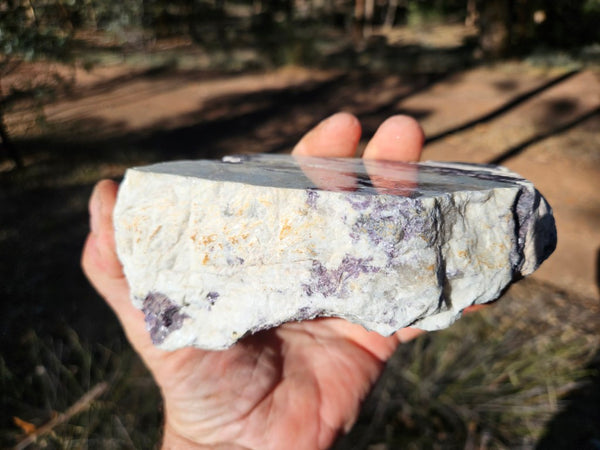 Pegmatite. PG134