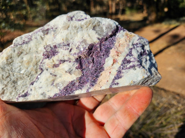 Pegmatite. PG134