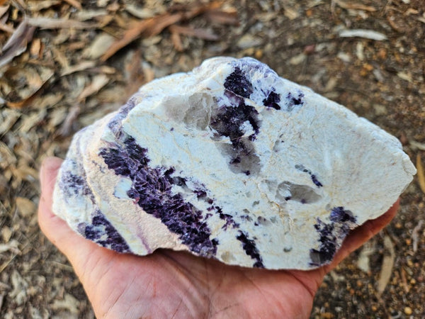 Pegmatite. PG134
