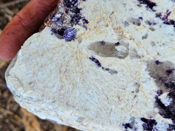 Pegmatite. PG134
