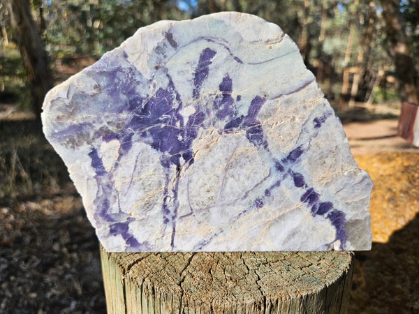 Pegmatite. PG136