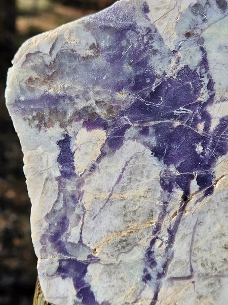 Pegmatite. PG136
