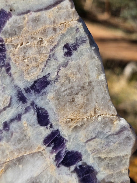 Pegmatite. PG136