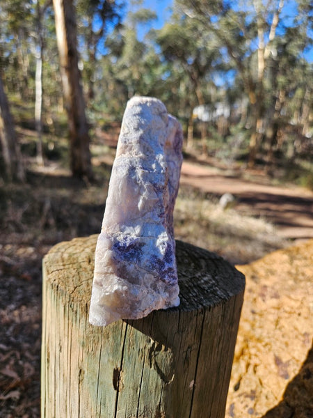 Pegmatite. PG136