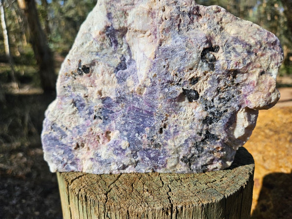 Pegmatite. PG136