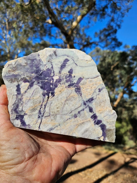 Pegmatite. PG136