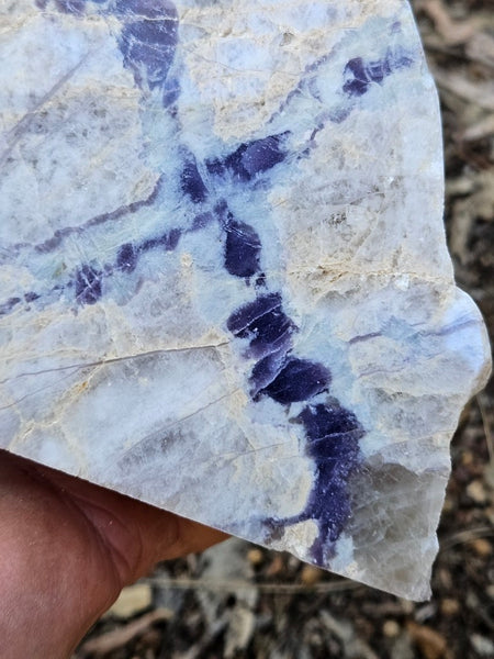 Pegmatite. PG136