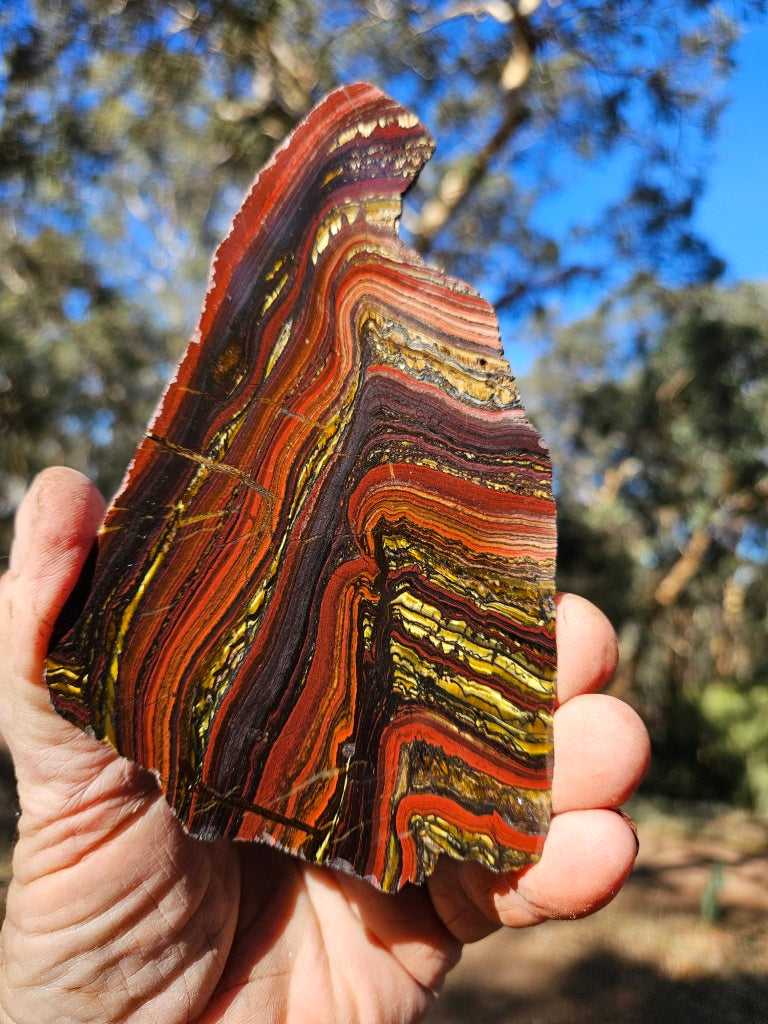 Polished Tiger Iron slab TI408