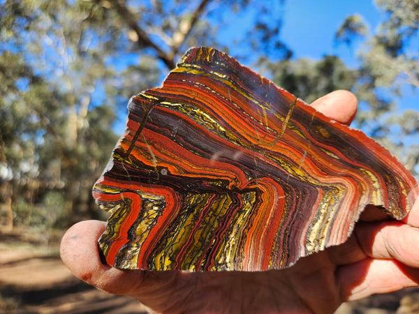 Polished Tiger Iron slab TI408