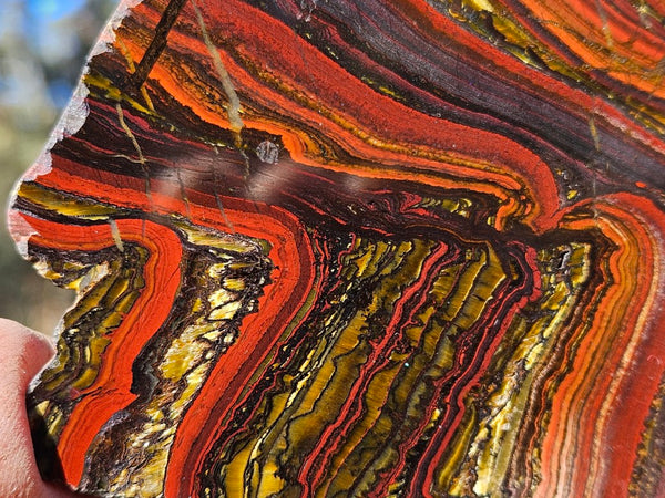 Polished Tiger Iron slab TI408