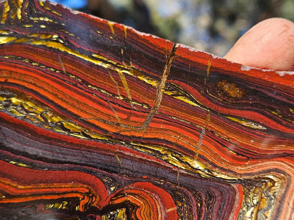 Polished Tiger Iron slab TI408