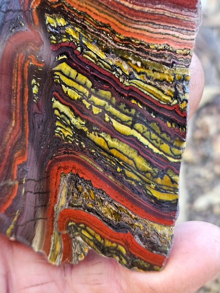 Polished Tiger Iron slab TI408