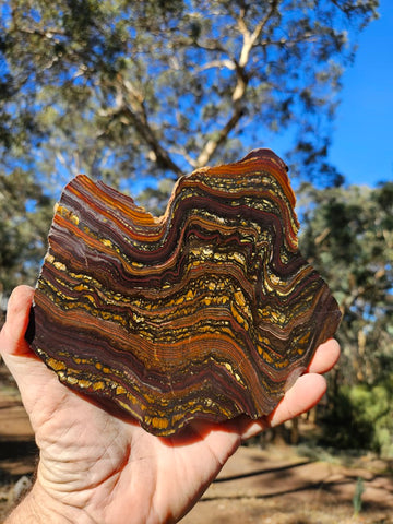 Polished Tiger Iron slab TI409