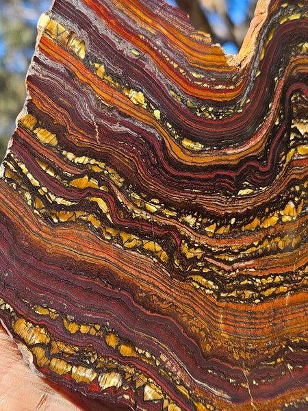 Polished Tiger Iron slab TI409