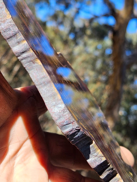 Polished Tiger Iron slab TI409
